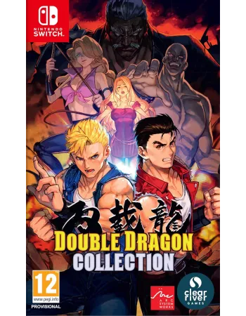 Double Dragon Collection Nintendo Switch
